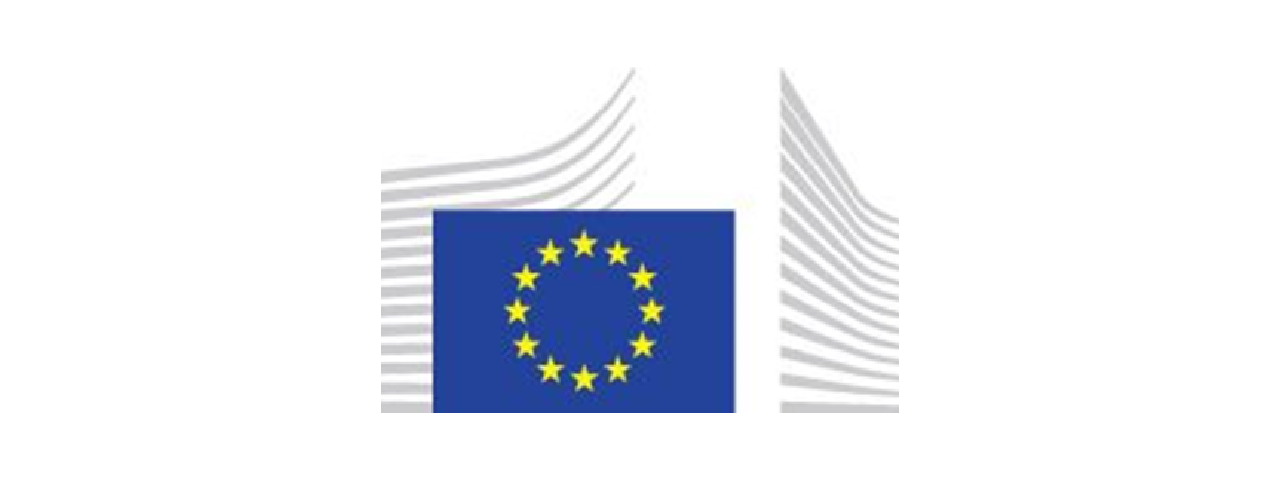 UE flag - VAGABOND project