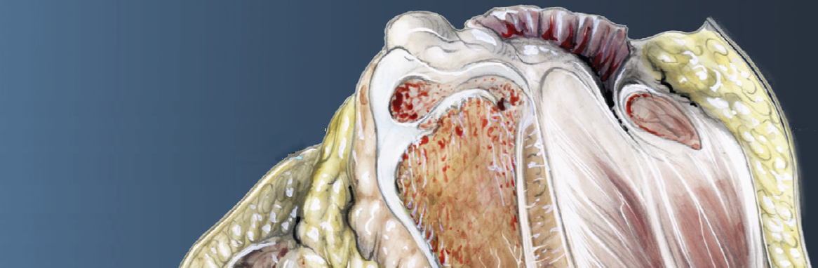 Locandina (particolare)