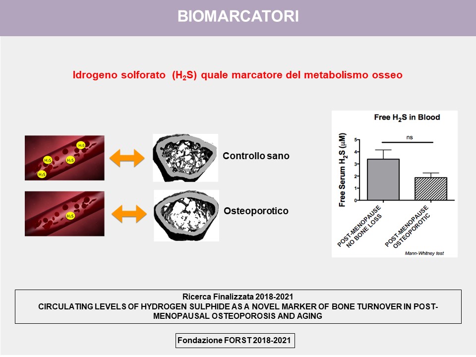 Figure 7: Study of biomarkers of bone metabolism. Role of hydrogen sulfide
